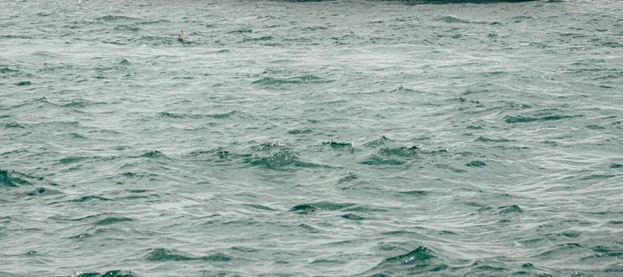 Top ways to find the perfect holiday transfer type for your vacation